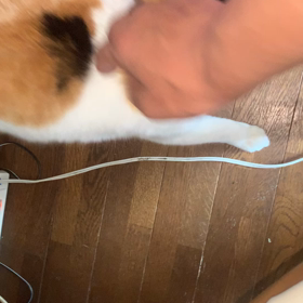 ムウです　erabooと仲良くの画像