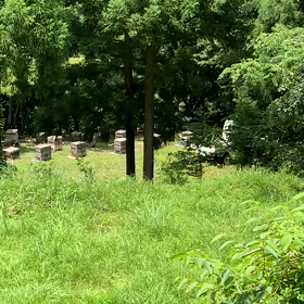 蜂の巣箱かなの画像