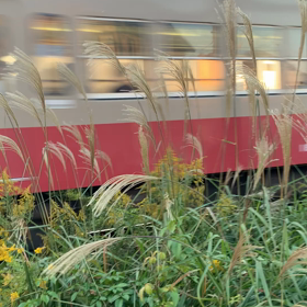 母親を医院ね連れて行ったの画像