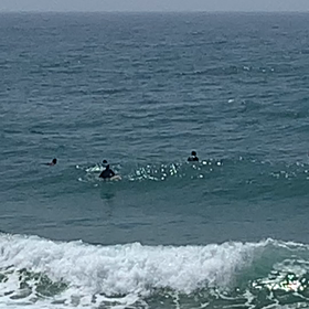 サーフィンと還暦迎えて、嘱託社員で部長？？の画像