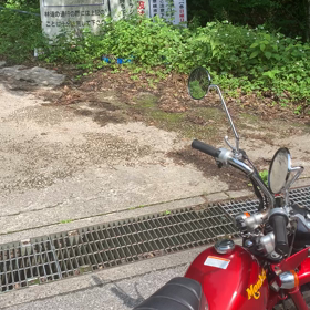 熊の画像