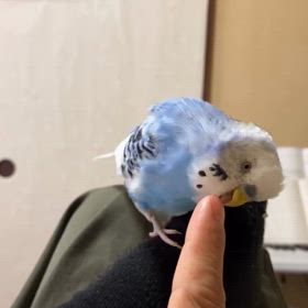 2025/08/13の画像