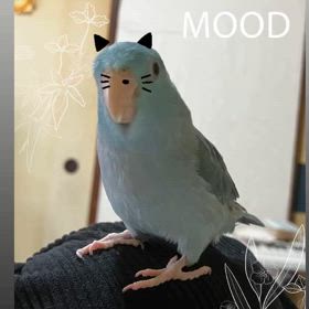2025/02/22の画像