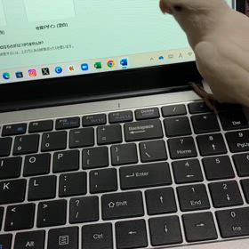2025/07/09の画像