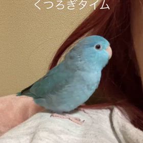 2025/02/12の画像