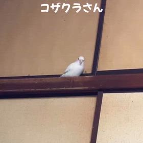 2025/10/04の画像
