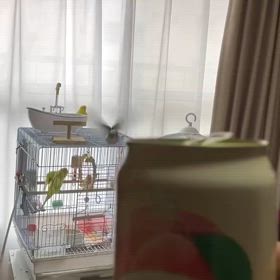 2025/01/03の画像