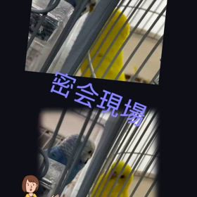 2024/12/31の画像