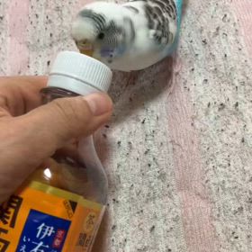 2024/11/17の画像