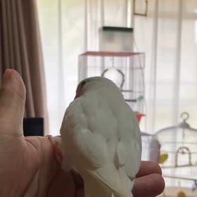 2025/08/13の画像