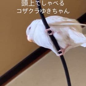 2025/07/23の画像