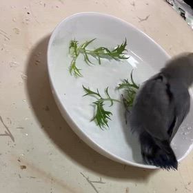 2026/01/11の画像