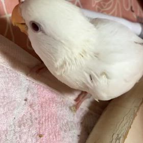 2025/06/15の画像