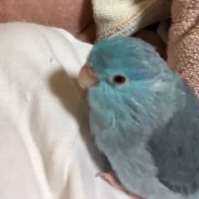 2025/04/19の画像