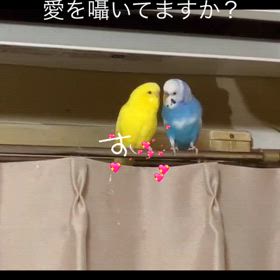 2025/01/12の画像