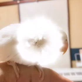 2025/06/13の画像