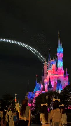 ディズニー初心者の子連れアフター5ランド②の記事動画