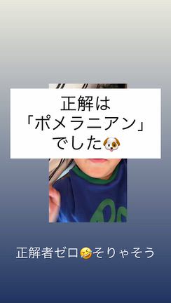 この前の正解は…の記事動画