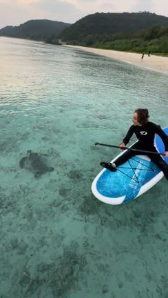 亀と泳いでくじら見て興奮！の記事動画