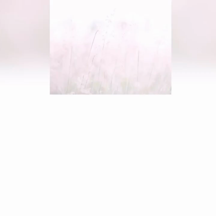 あなたは仕事に誇りを持っていますか？の記事動画