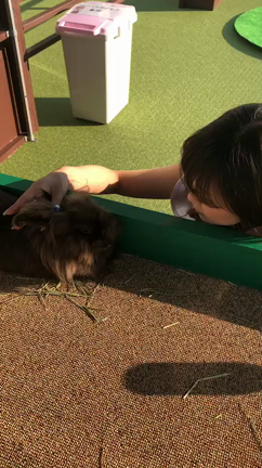 動くかわいさ、優しい触り心地、∞の記事動画