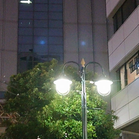 ことりの画像