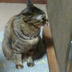 寒いの画像