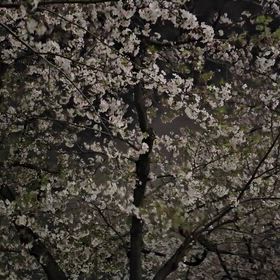 4月サークルについての画像
