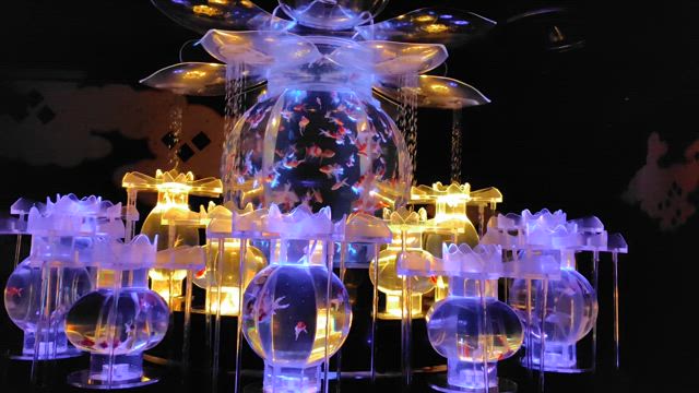 アートアクアリウムにいってきた！の記事動画