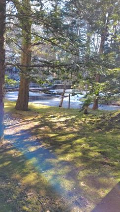 雪山雪山。の記事動画