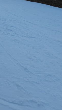 雪山雪山。の記事動画