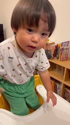 1歳10ヶ月、英語の発話の記事動画