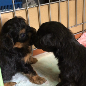 産まれて34日目の画像