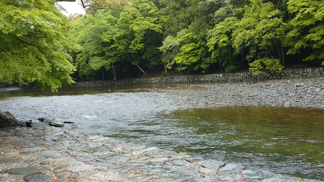 お伊勢参りの記事動画