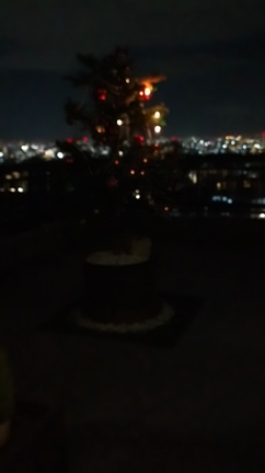メリークリスマスの記事動画