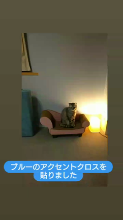 雰囲気変わりましたの記事動画