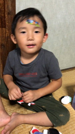 恒例の息子謎言動の記事動画