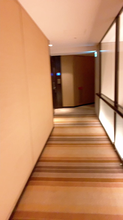 ●ストリングスホテル東京インターコンチネンタル♡レポの記事動画