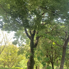 まだまだ夏の画像