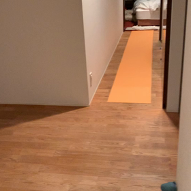 ココ動画の画像