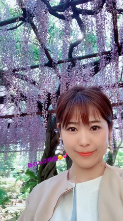 明日は関ケ原でトークショー！の記事動画