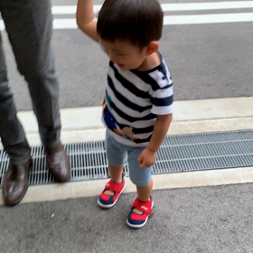 ぐちゅぐちゅの実の画像