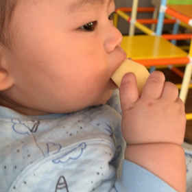 りんごも、そのままいきます！の画像