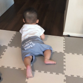 ずりばい上達の画像