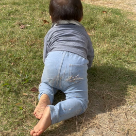 鳩ぽっぽ追いかけるも、、、の画像
