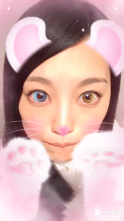 ♠︎♡オッドアイ キャット♣︎♢の記事動画