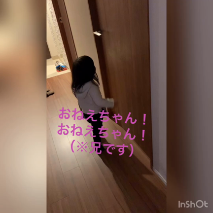 兄妹喧嘩の記事動画