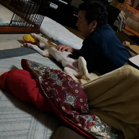良かったの画像