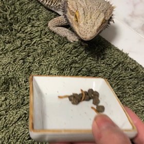 嬉しい♥の画像