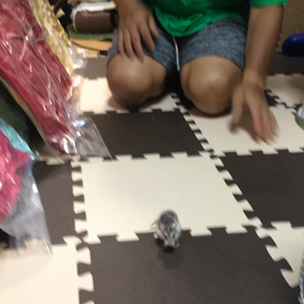 お散歩すぴちゃんの画像